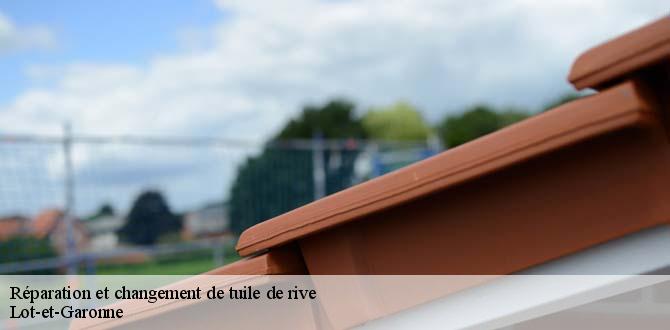 reparation-et-changement-de-tuile-de-rive