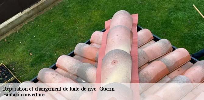 reparation-et-changement-de-tuile-de-rive