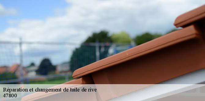 reparation-et-changement-de-tuile-de-rive