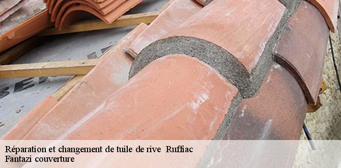 reparation-et-changement-de-tuile-de-rive